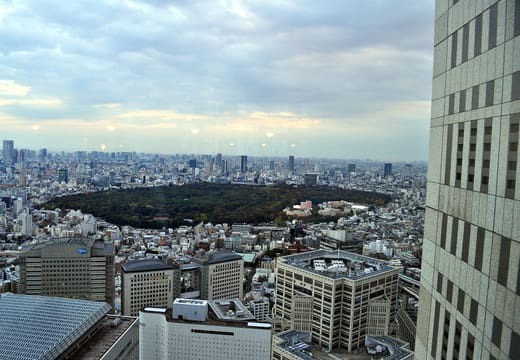 The Meiji Shrine forest seen from the free Tokyo Metropolitan Government Building observatory