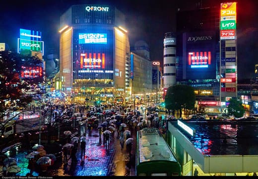 Umbrellas crossing the Shibuya Scramble on a rainy night under the QFront screens
