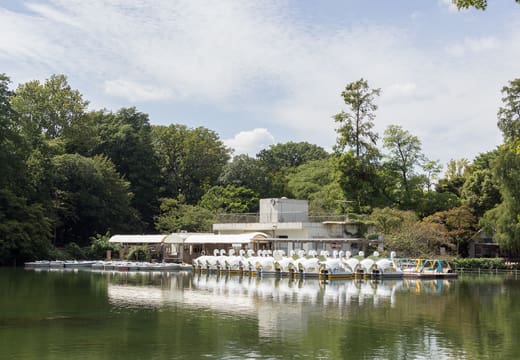 Rows of swan boats moored at the boathouse on Inokashira Park pond, Kichijoji