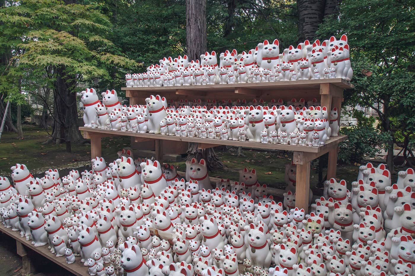 Shelves packed with white beckoning cat figures at Gotokuji temple on the Setagaya Line