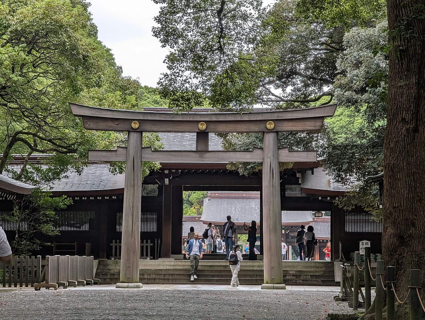Wooden torii in front of the main gate of Meiji Jingu with visitors arriving
