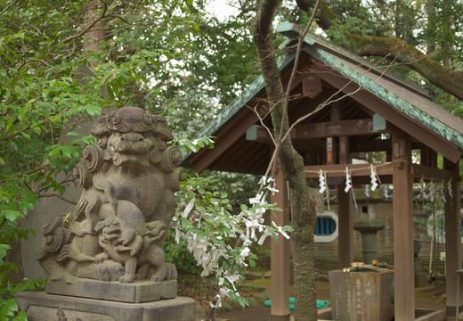 Stone komainu guardian beside the purification pavilion at Akasaka Hikawa Shrine