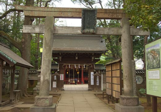 Old stone torii framing the approach and gate of Akasaka Hikawa Shrine
