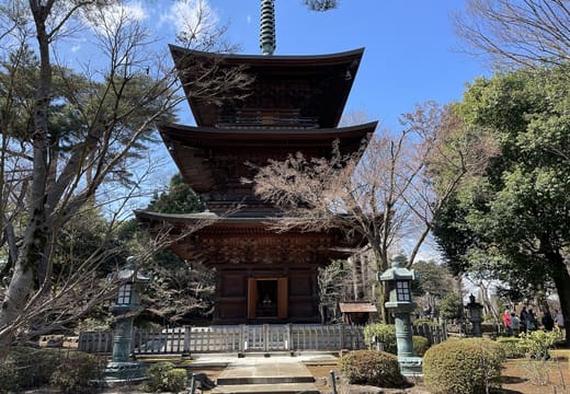Wooden three-storey pagoda of Gotokuji Temple against a blue sky