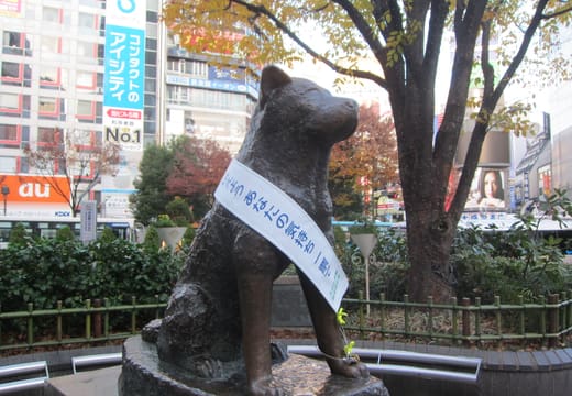Hachiko statue wearing a commemorative sash with autumn trees at Shibuya Station