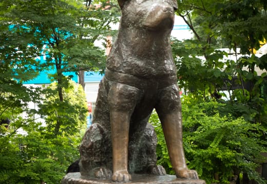 Bronze statue of the loyal dog Hachiko on its stone plinth among trees in Shibuya