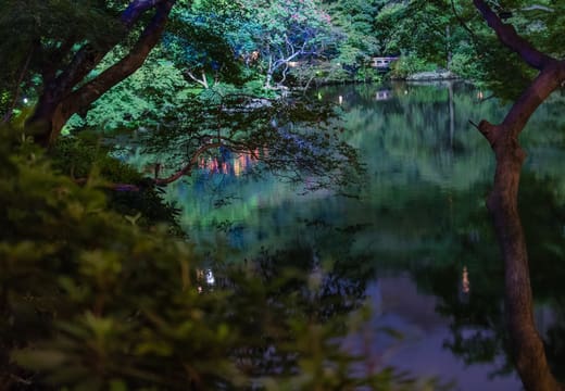 Garden pond reflecting lit maples during an evening event at Happo-en, Shirokanedai