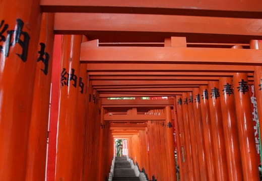 Stone stairway climbing through a tunnel of vermilion torii gates at Hie Shrine, Akasaka