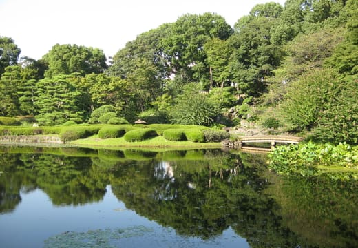 Pond of the Ninomaru garden reflecting trees in the Imperial Palace East Gardens
