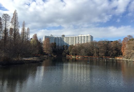 Inokashira Pond in winter with bare trees and a clear blue sky, Kichijoji