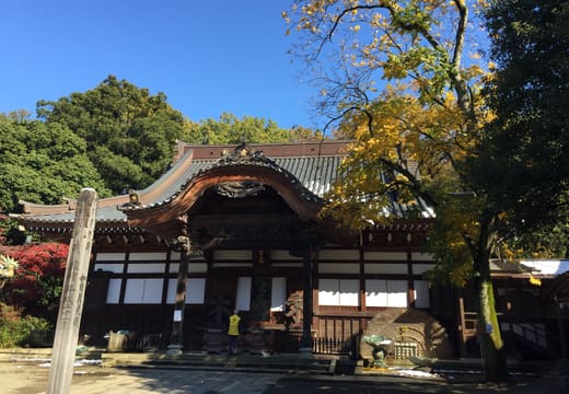 Jindaiji temple gate with light snow and autumn leaves under a blue sky