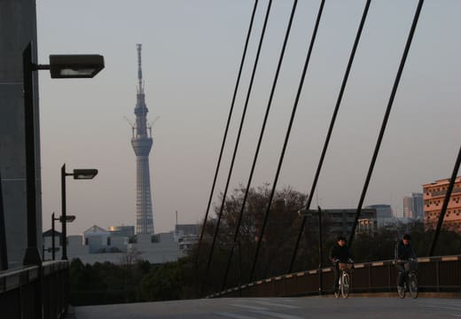 Tokyo Skytree seen beyond the cable-stayed Kiba Park Bridge at dusk