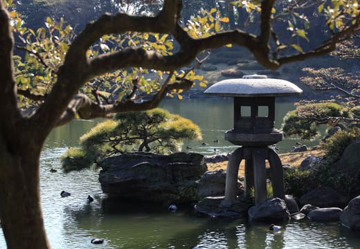 Snow-viewing stone lantern and pine beside the pond at Kiyosumi Gardens