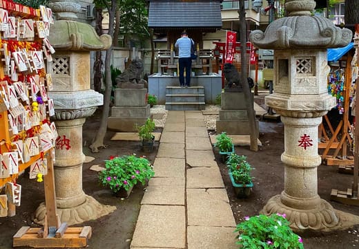 Stone lanterns and a tasselled shimenawa rope over the approach to Koenji Hikawa Shrine