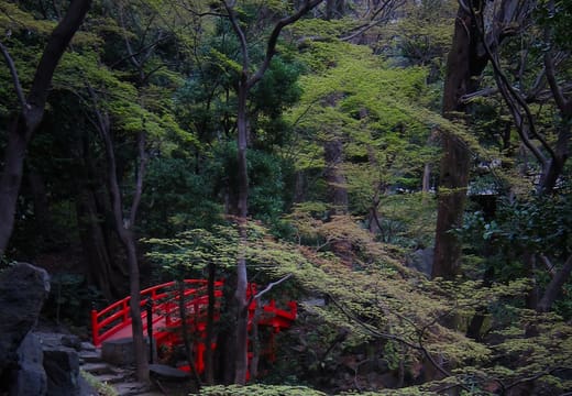 Vermilion Tsutenkyo bridge half hidden among trees in Koishikawa Korakuen