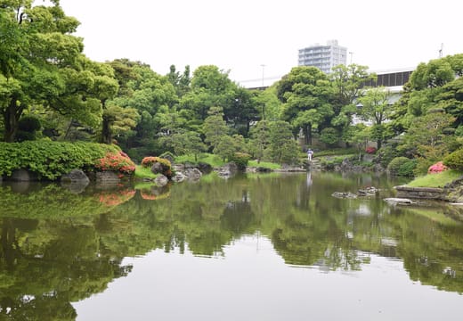Tree-lined pond of Kyu-Yasuda Garden reflecting the greenery on a summer day, Ryogoku