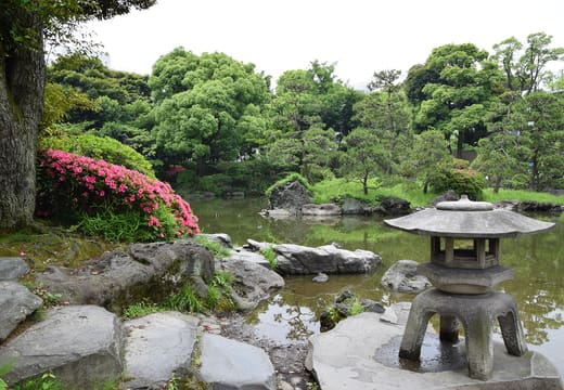 Stone lantern and pink azaleas beside the pond in Kyu-Yasuda Garden, Ryogoku