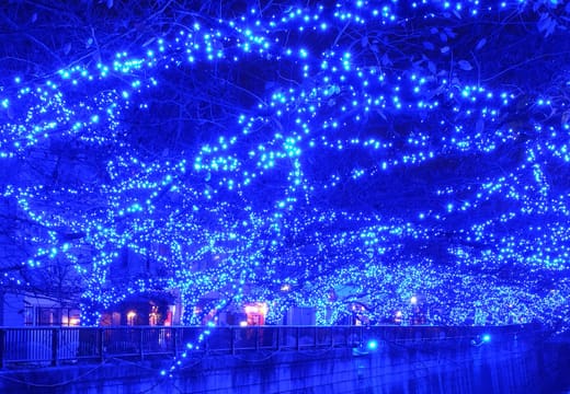 Trees along the Meguro River canal wrapped in blue winter illuminations at night, Nakameguro
