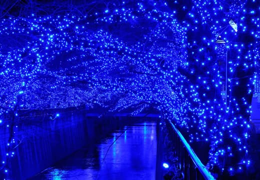 Blue light illuminations covering the riverside trees of the Meguro River at night, Nakameguro