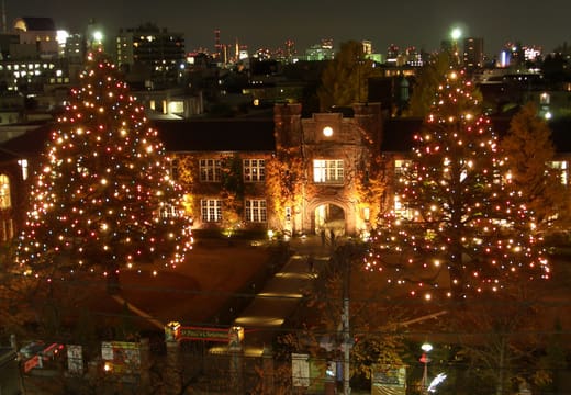 Giant cedars lit as Christmas trees in front of Morris Hall at Rikkyo University at night