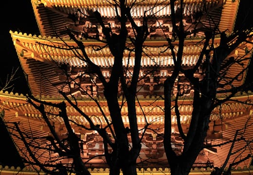 Senso-ji five-storey pagoda lit up at night behind bare winter branches in Asakusa
