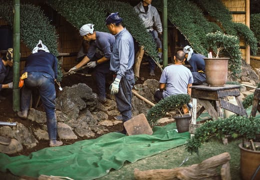 Gardeners at work beneath a traditional wooden shelter in the grounds of Shinjuku Gyoen