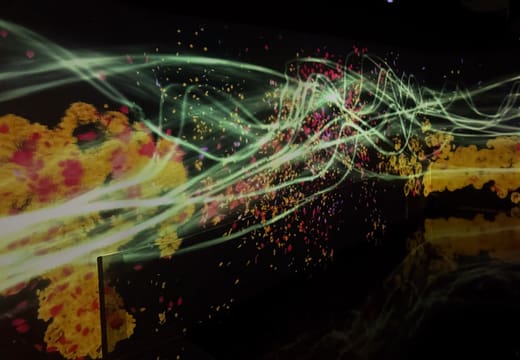 Streams of projected light and flowers flowing across a dark room at teamLab Borderless