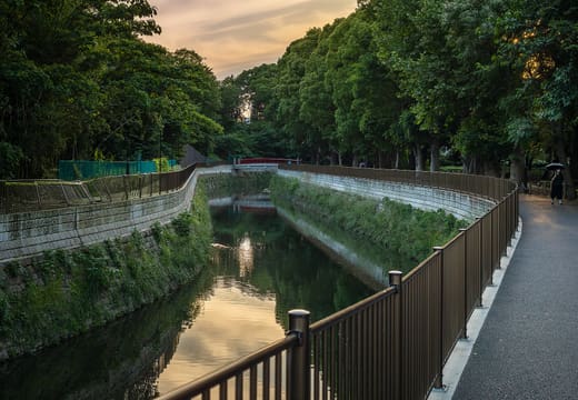 Zenpukuji River curving through Wadabori Park under trees at dusk, Suginami