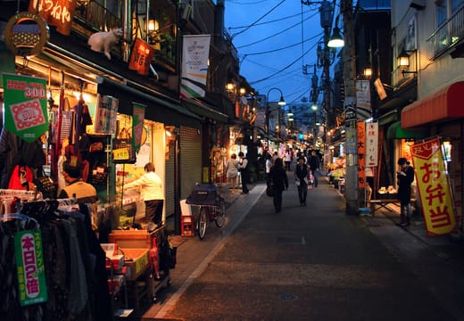 Yanaka Ginza shopping street at dusk with lit shopfronts and evening strollers