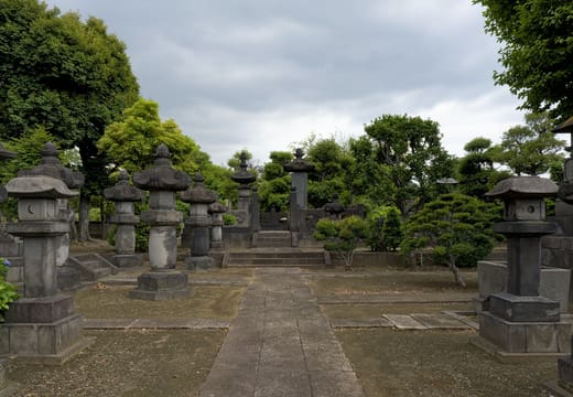 Rows of stone lanterns in a quiet Yanaka temple courtyard under summer trees