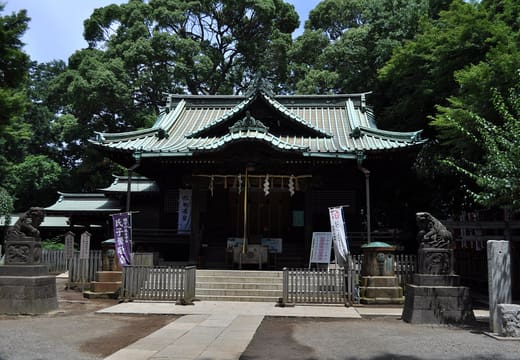 Main hall of Yoyogi Hachimangu Shrine framed by tall trees in Shibuya