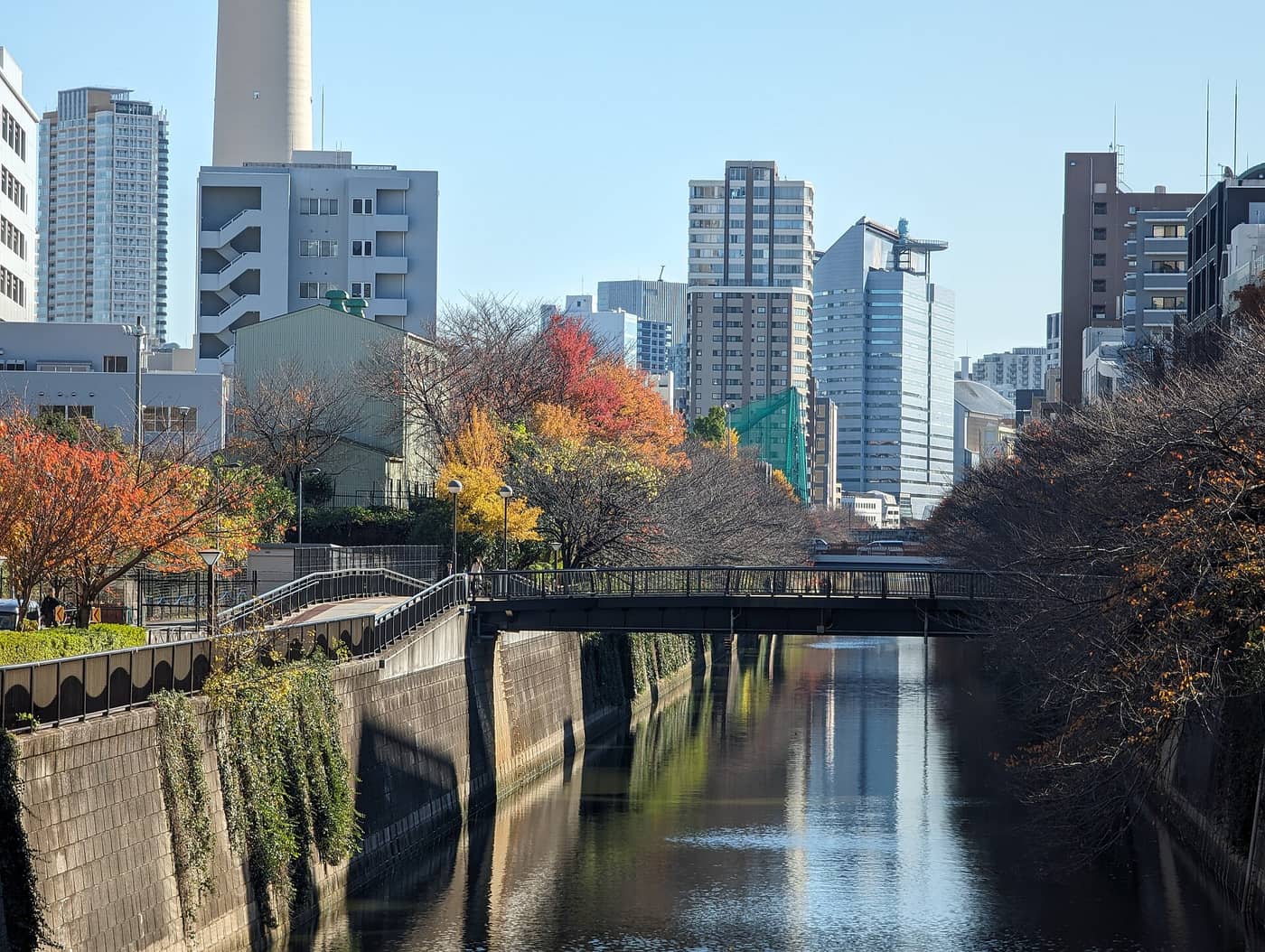The Meguro River canal in Nakameguro lined with trees turning in autumn