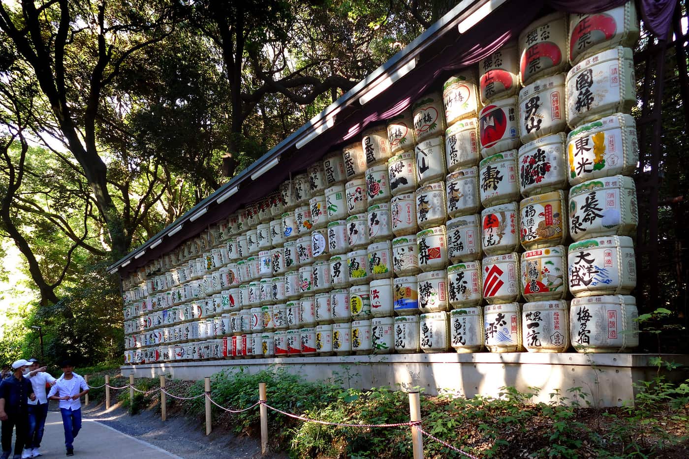 The wall of decorated sake barrels beside the forest path at Meiji Jingu