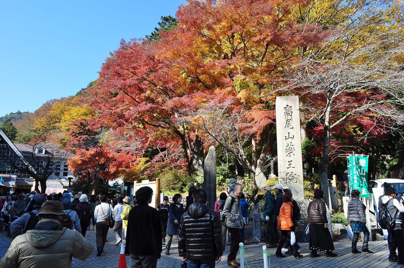 Autumn maples above crowds on the approach to Yakuoin on Mount Takao