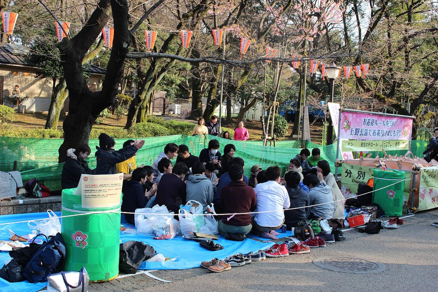 Hanami picnics on blue sheets under cherry blossoms in Ueno Park