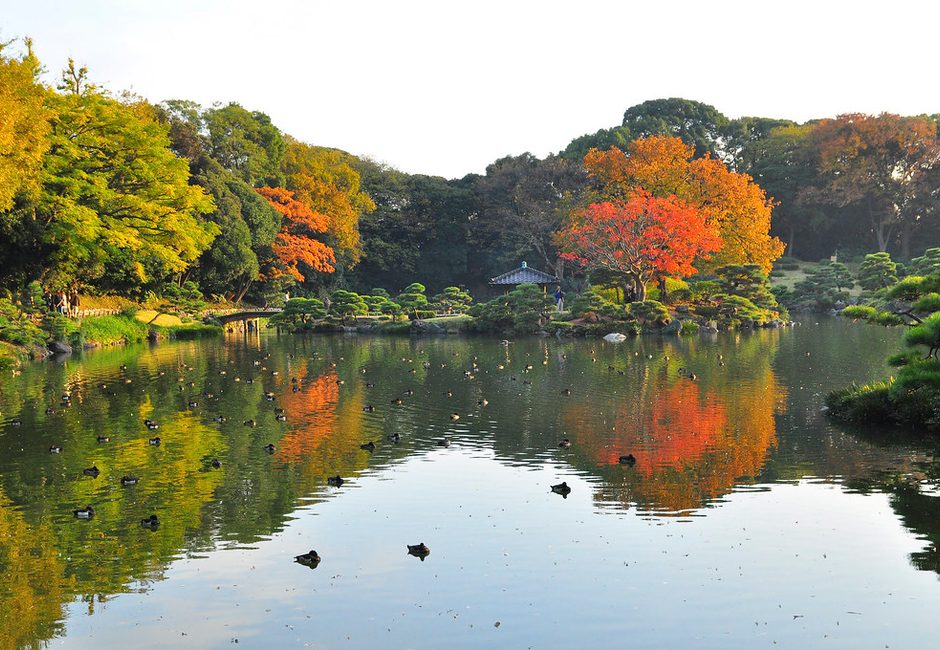 Kiyosumi, Tokyo