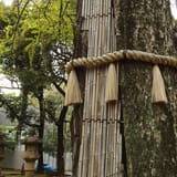 Akasaka Hikawa Shrine