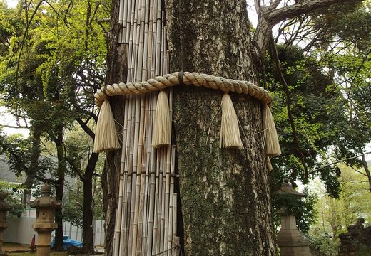 Akasaka Hikawa Shrine