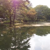 Arisugawa-no-miya Memorial Park
