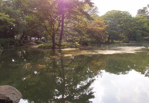 Arisugawa-no-miya Memorial Park