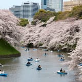 Chidorigafuchi