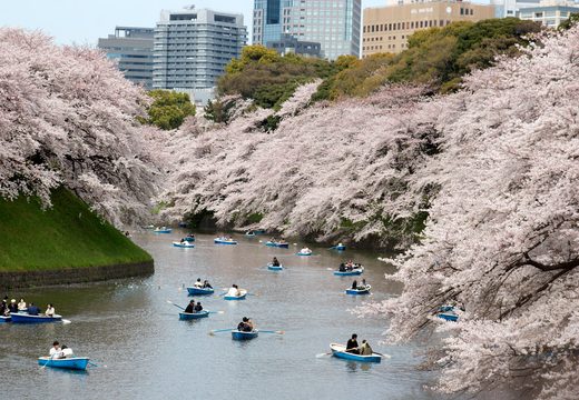 Chidorigafuchi