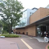 Fujiko F. Fujio Museum