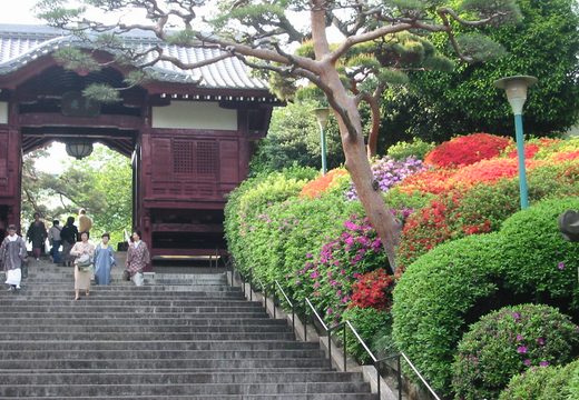 Gokokuji Temple