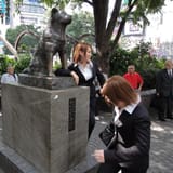 Hachiko Statue