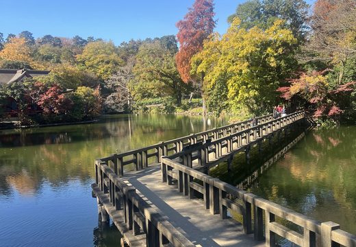 Inokashira Park