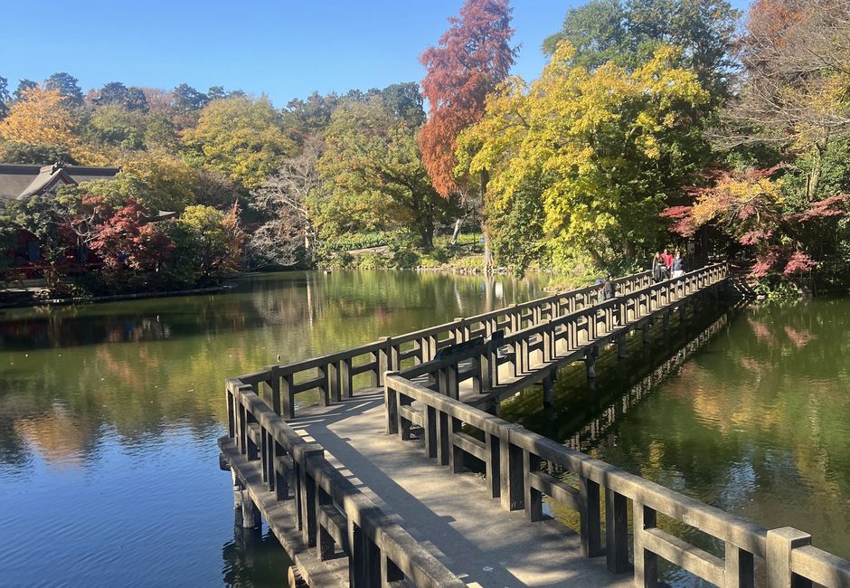 Inokashira Park