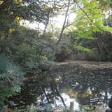 Institute for Nature Study