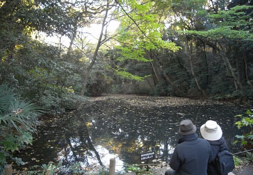 Institute for Nature Study