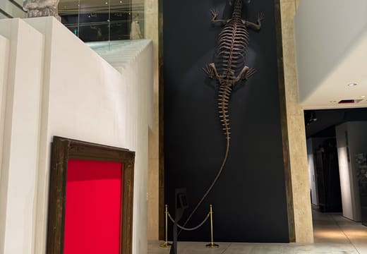Intermediatheque